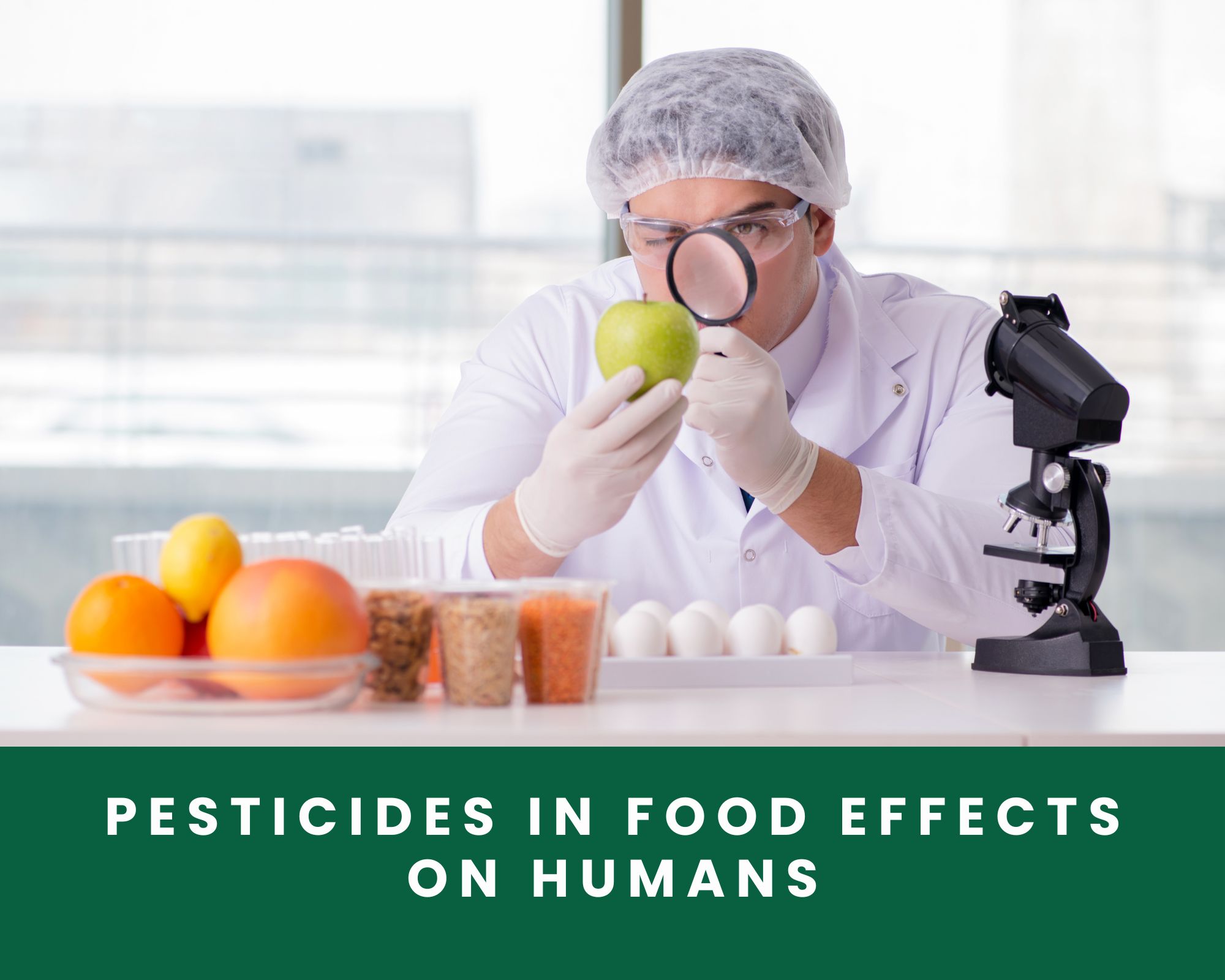 pesticides in food effects on humans