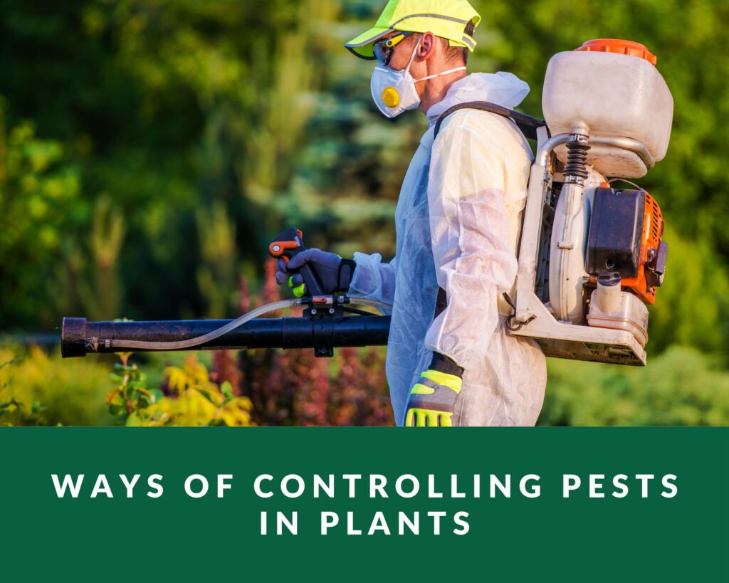 controlling pests in plants