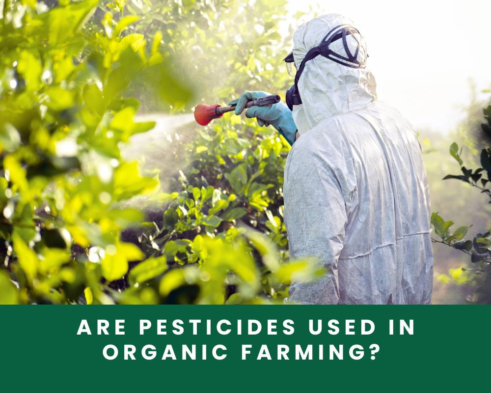 pesticide-organic-farming