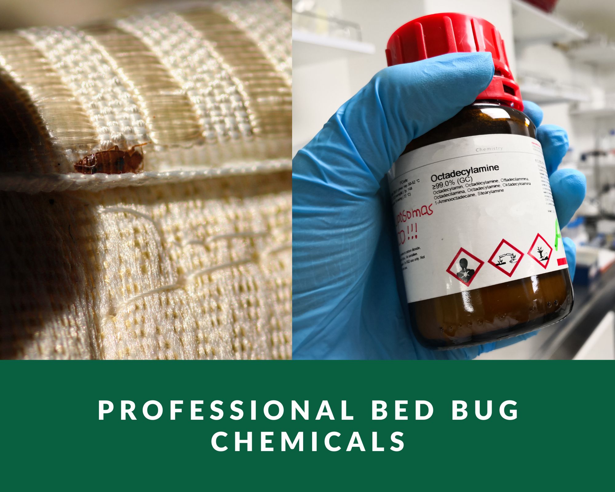 professional-bed-bug-chemicals