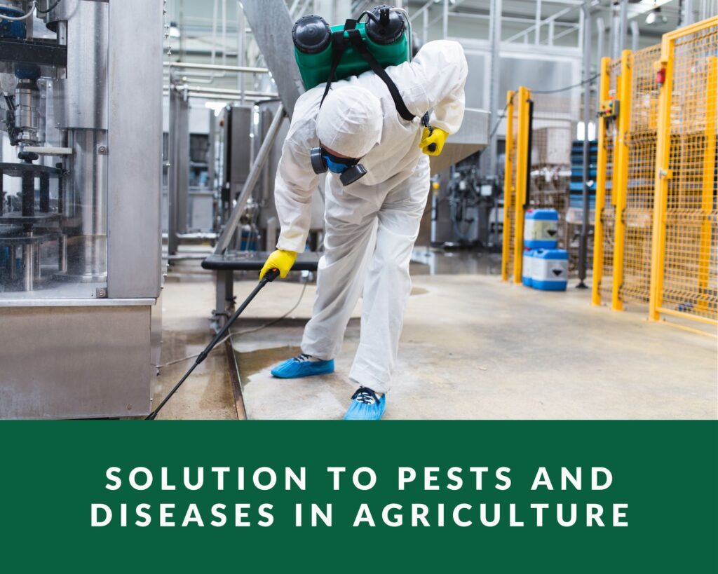 Solution to Pests and Diseases in Agriculture