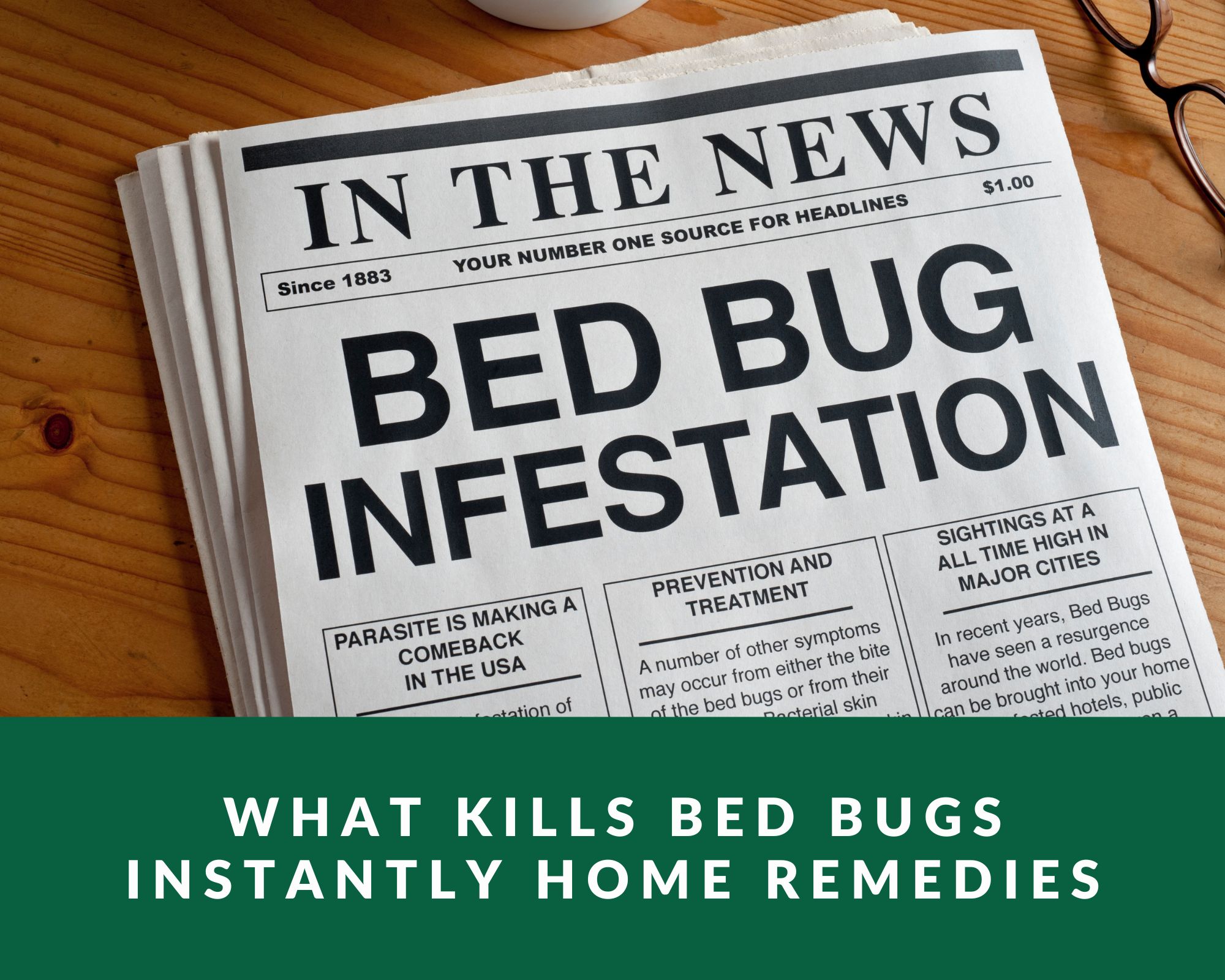 what-kills-bed-bugs-instantly-home-remedies