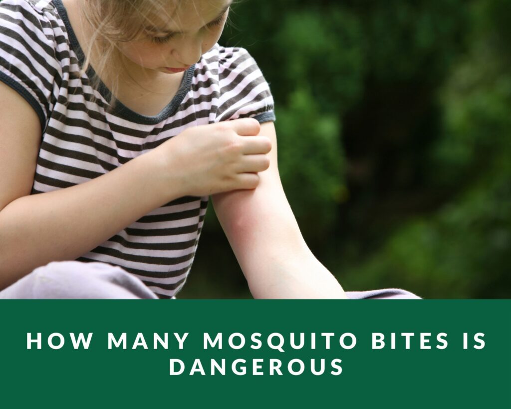 how many mosquito bites is dangerous