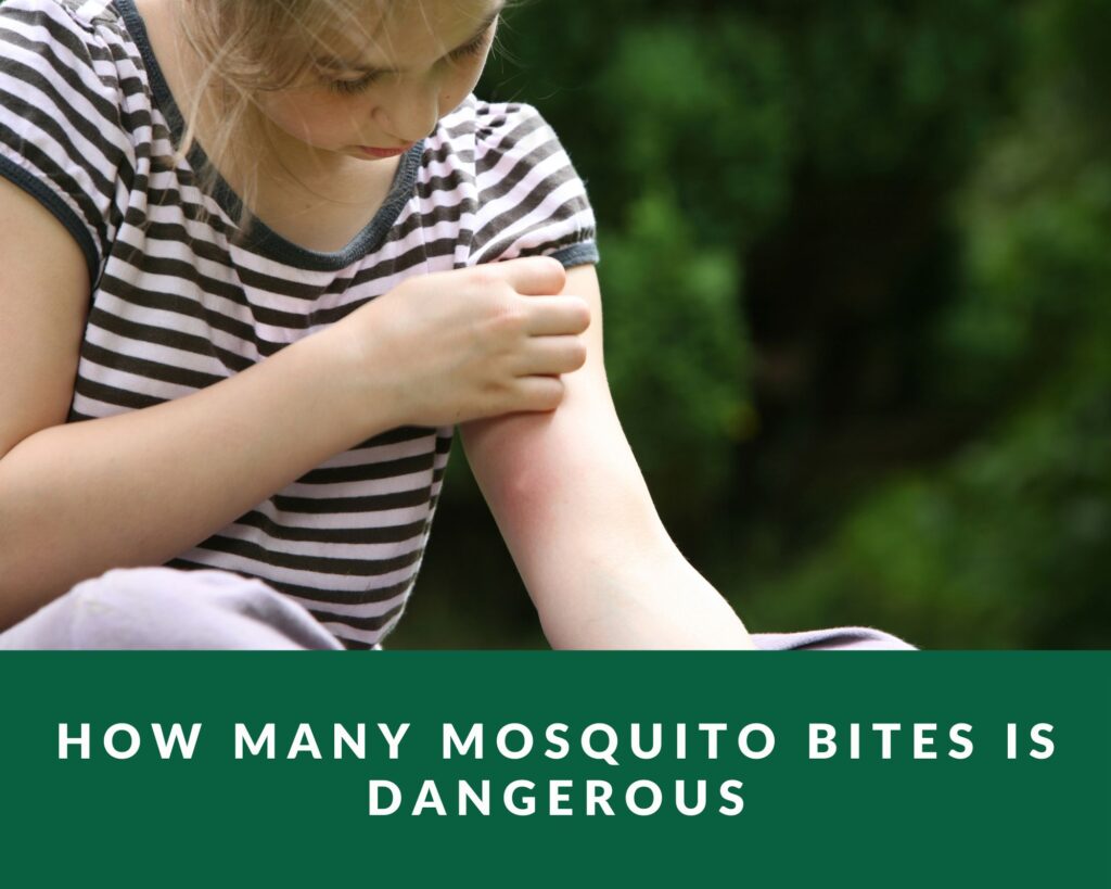 How Many Mosquito Bites is Dangerous Zero Pest NG