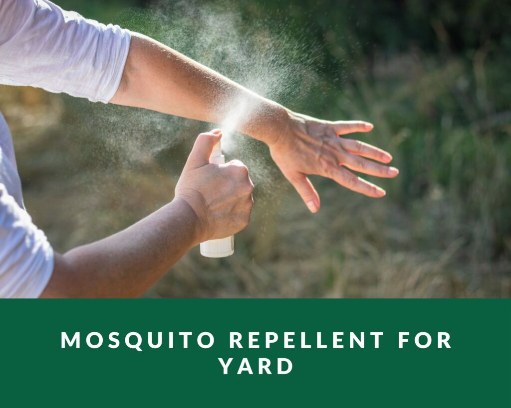 man spraying mosquito repellent for yard