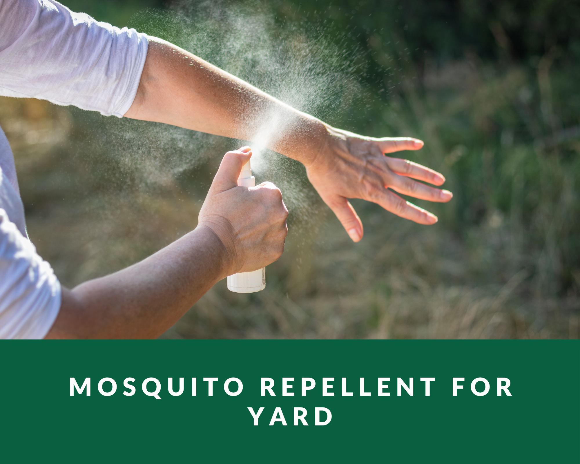 man spraying mosquito repellent for yard