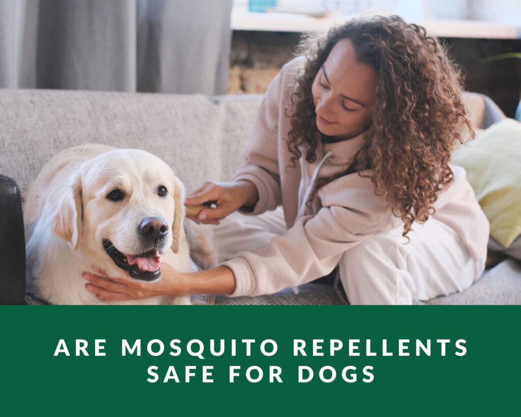 are mosquito repellents safe for dogs