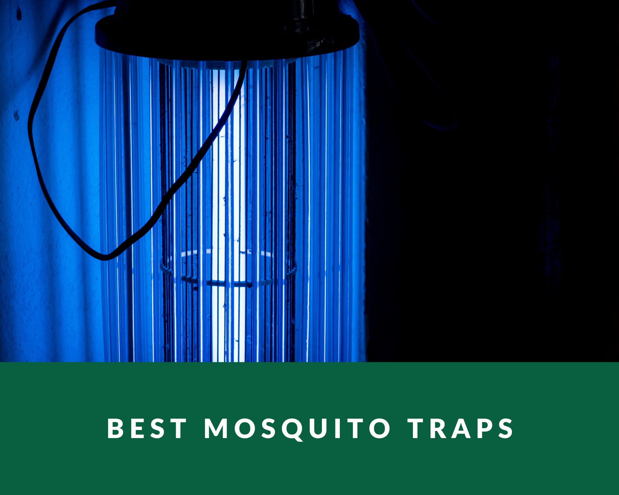 Best Mosquito Traps