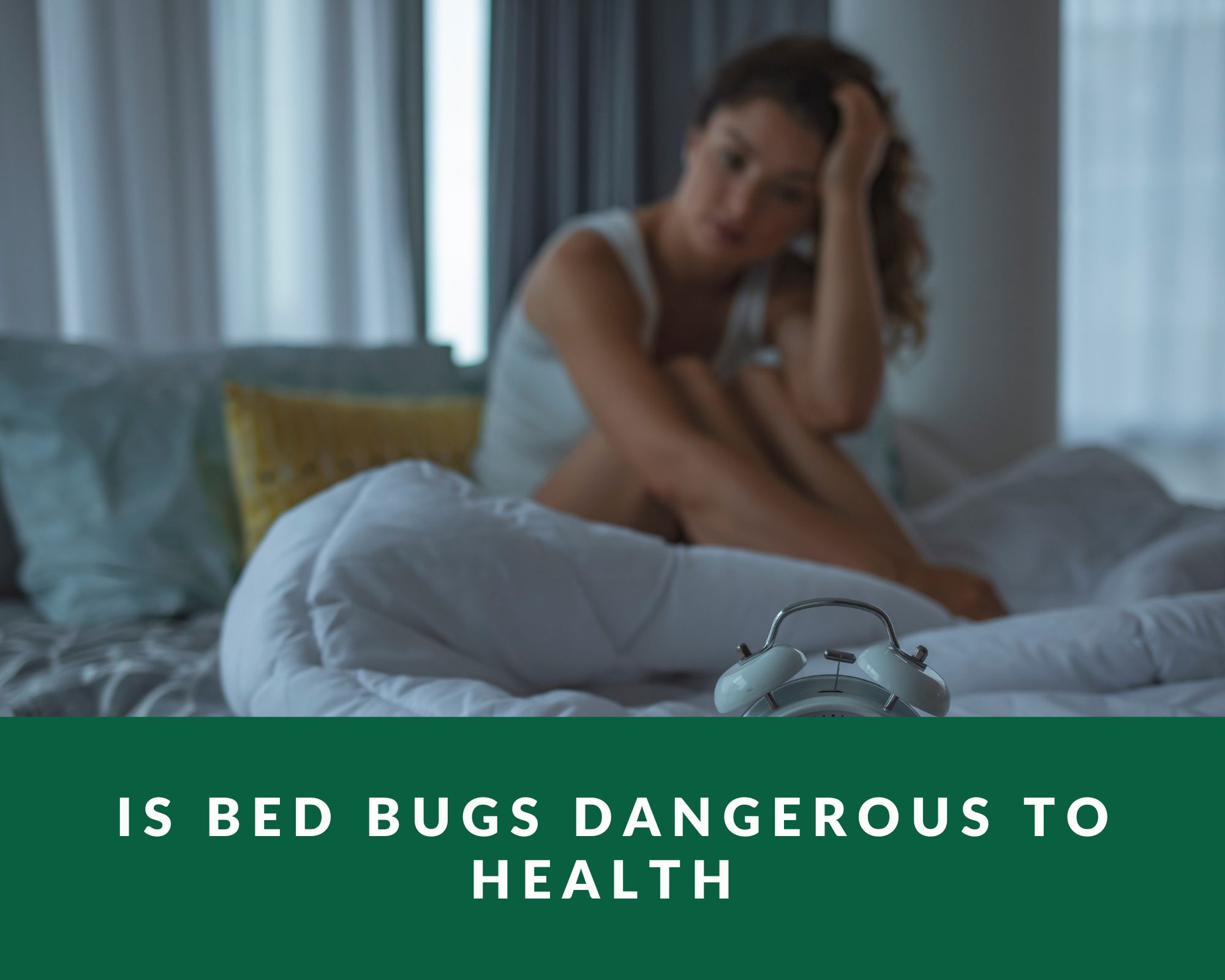 Is bed bugs dangerous to health