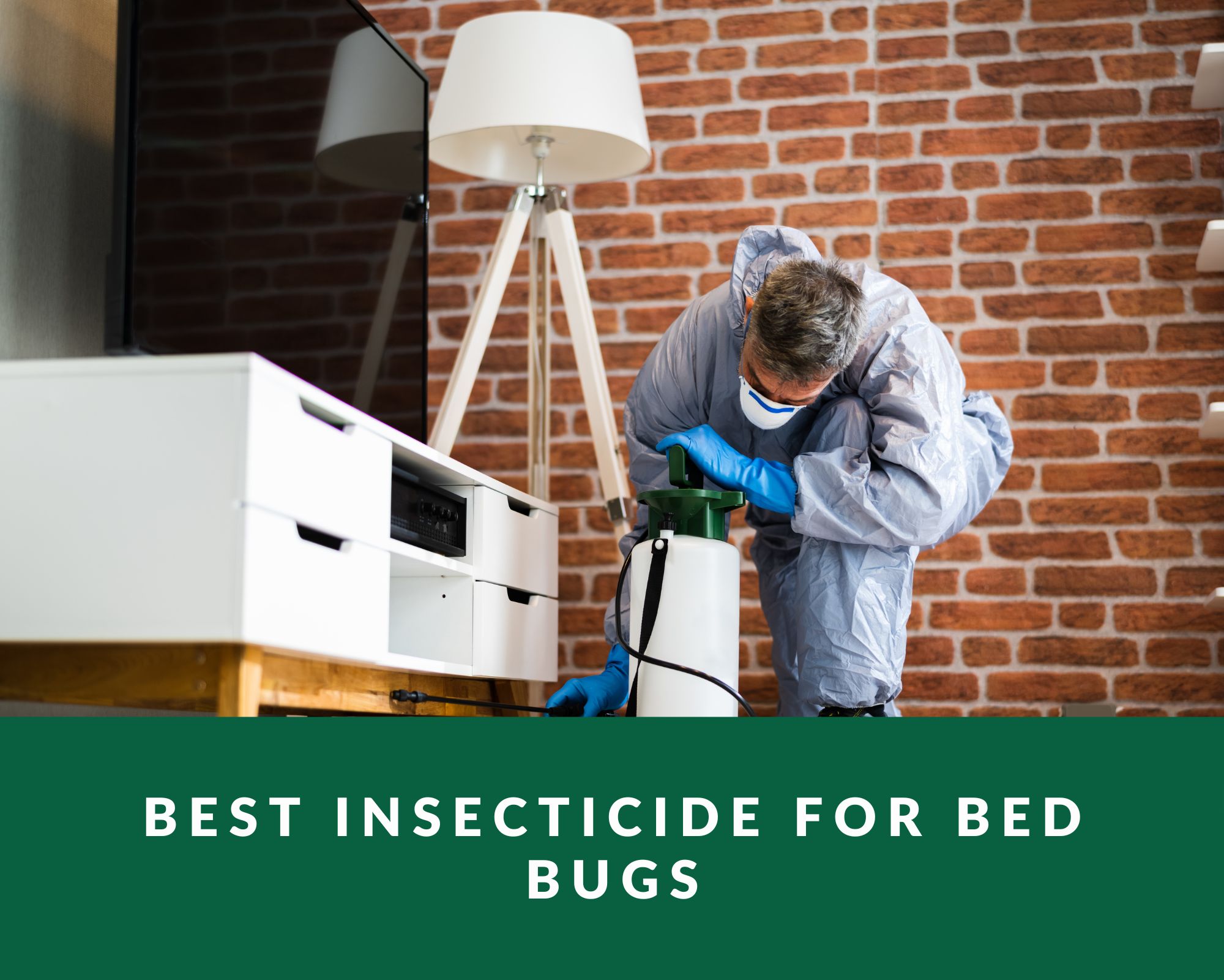 best insecticide for bed bugs