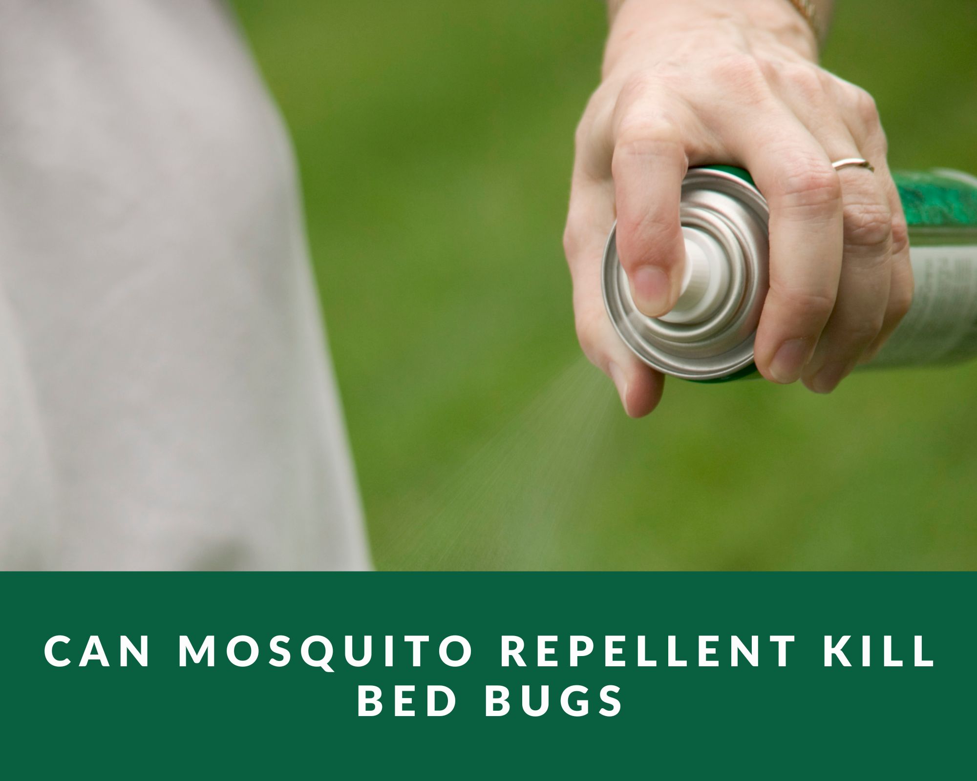 can mosquito repellent kill bed bugs