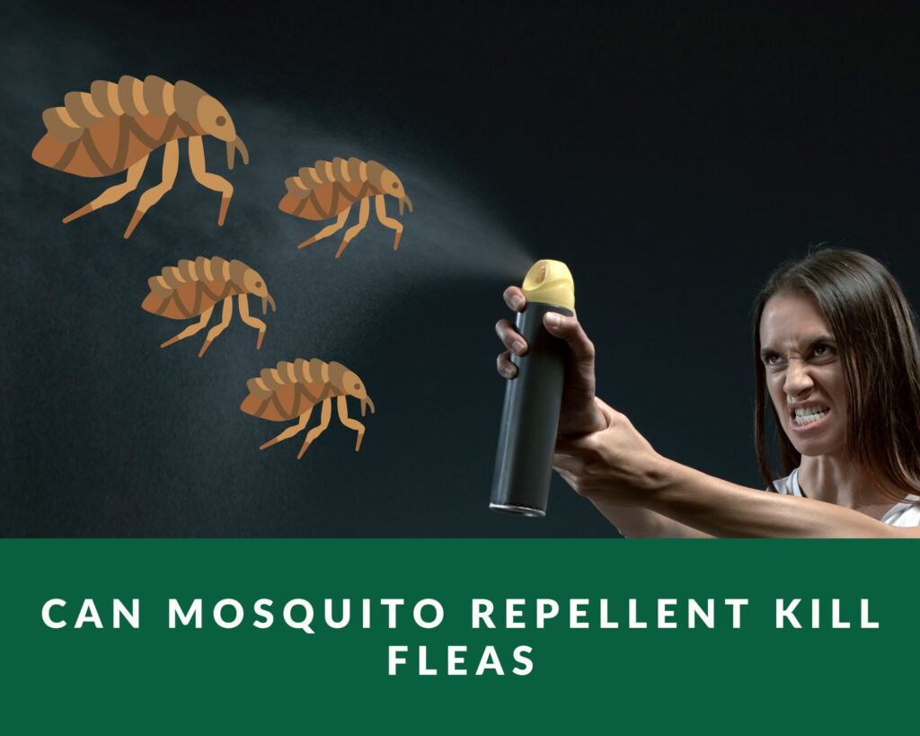 can mosquito repellent kill fleas