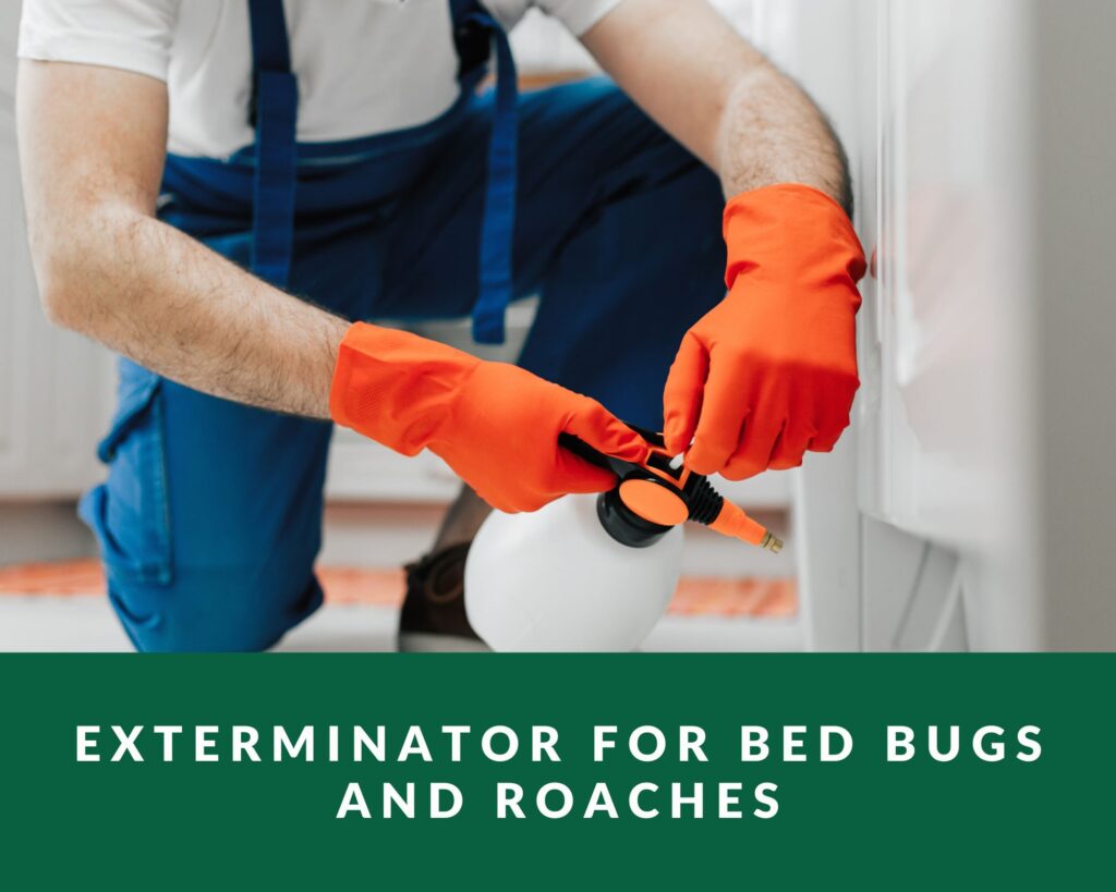 Exterminator for Bed Bugs and Roaches