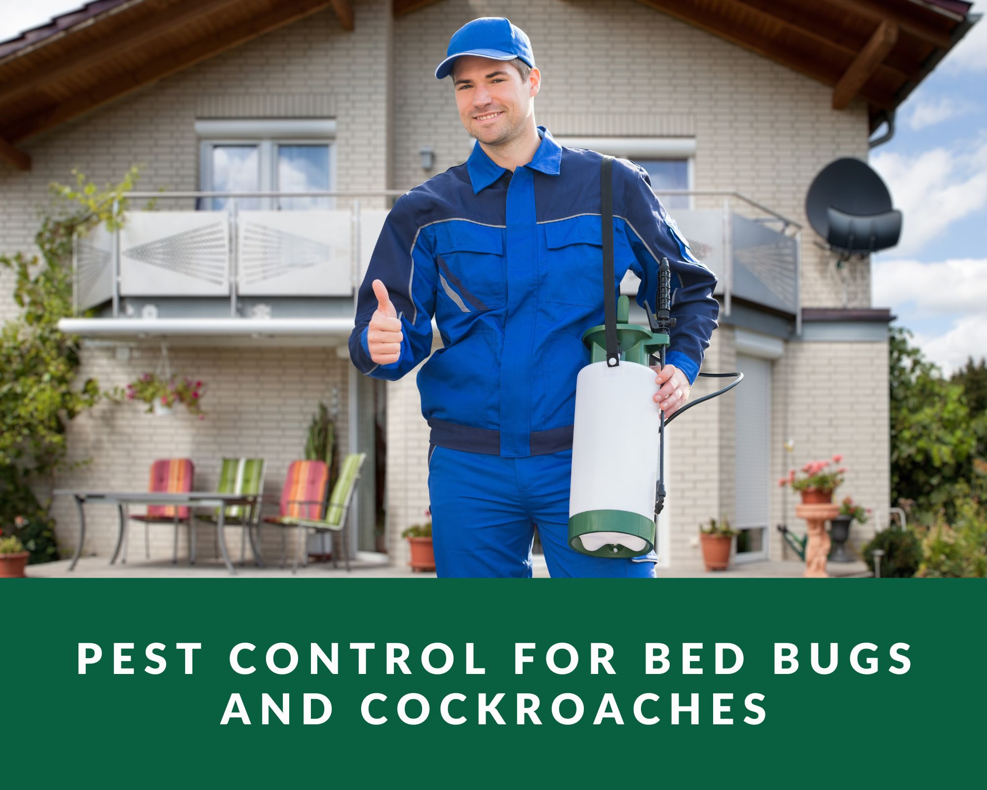 pest control for bed bugs and cockroaches
