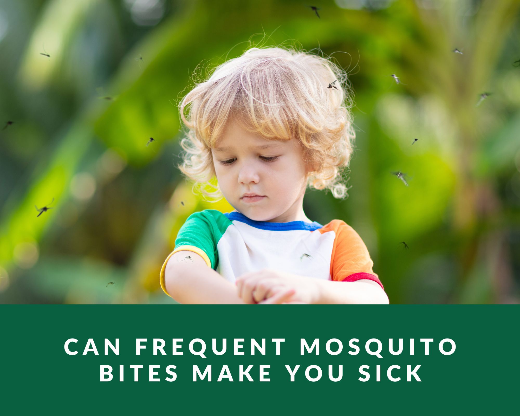 Can frequent mosquito bites make you sick