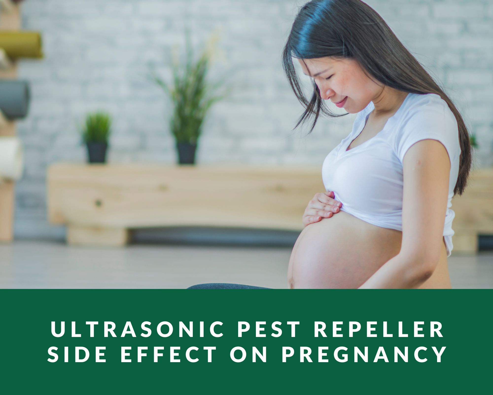 Ultrasonic Pest Repeller Side Effect on Pregnancy