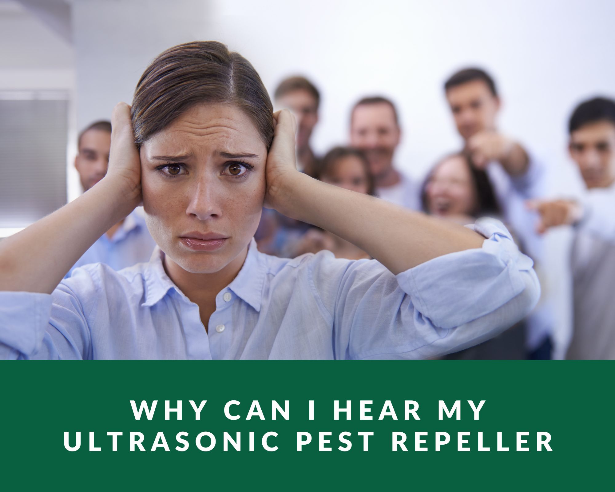 Why Can I Hear My Ultrasonic Pest Repeller