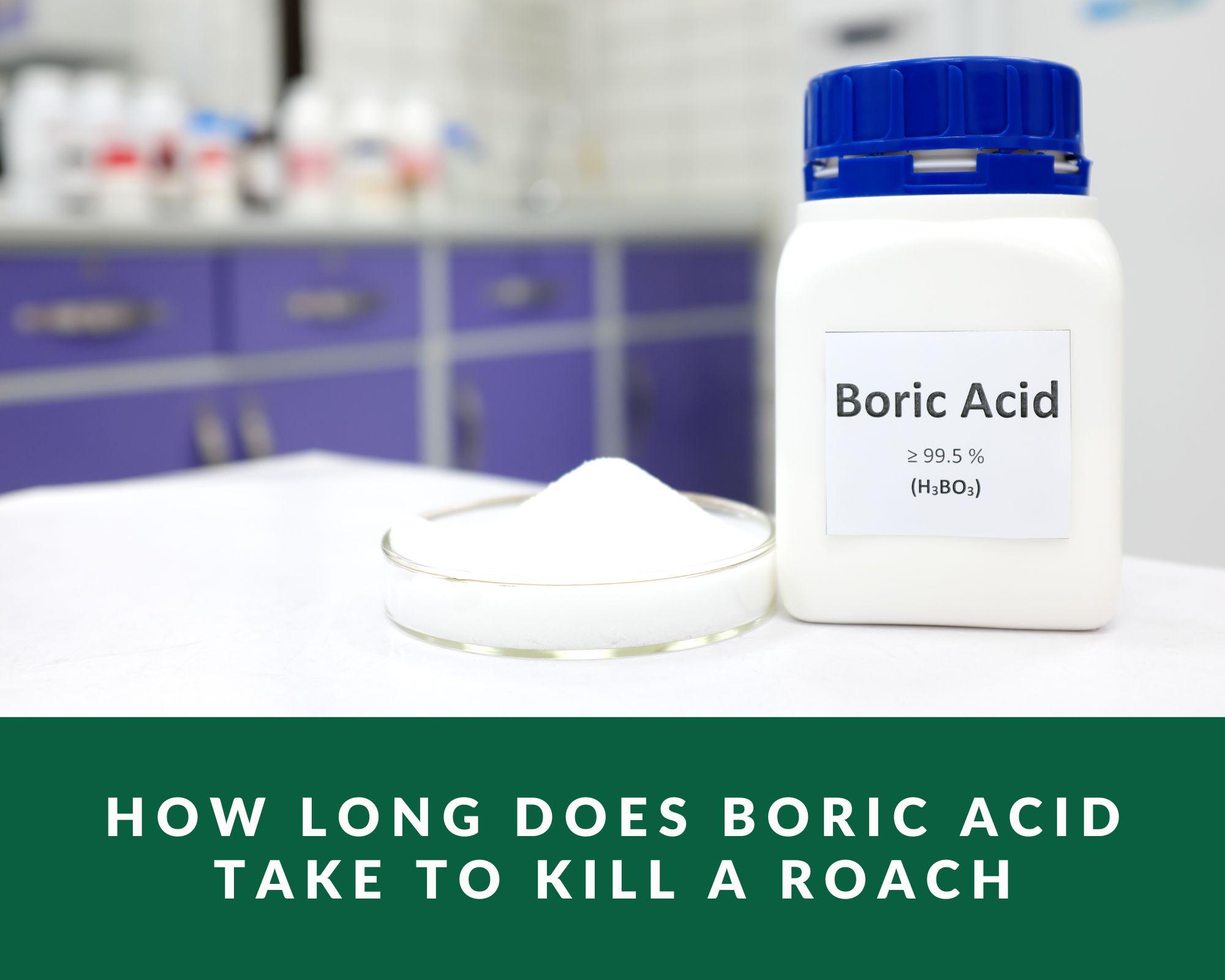 How Long Does Boric Acid Take To Kill A Roach