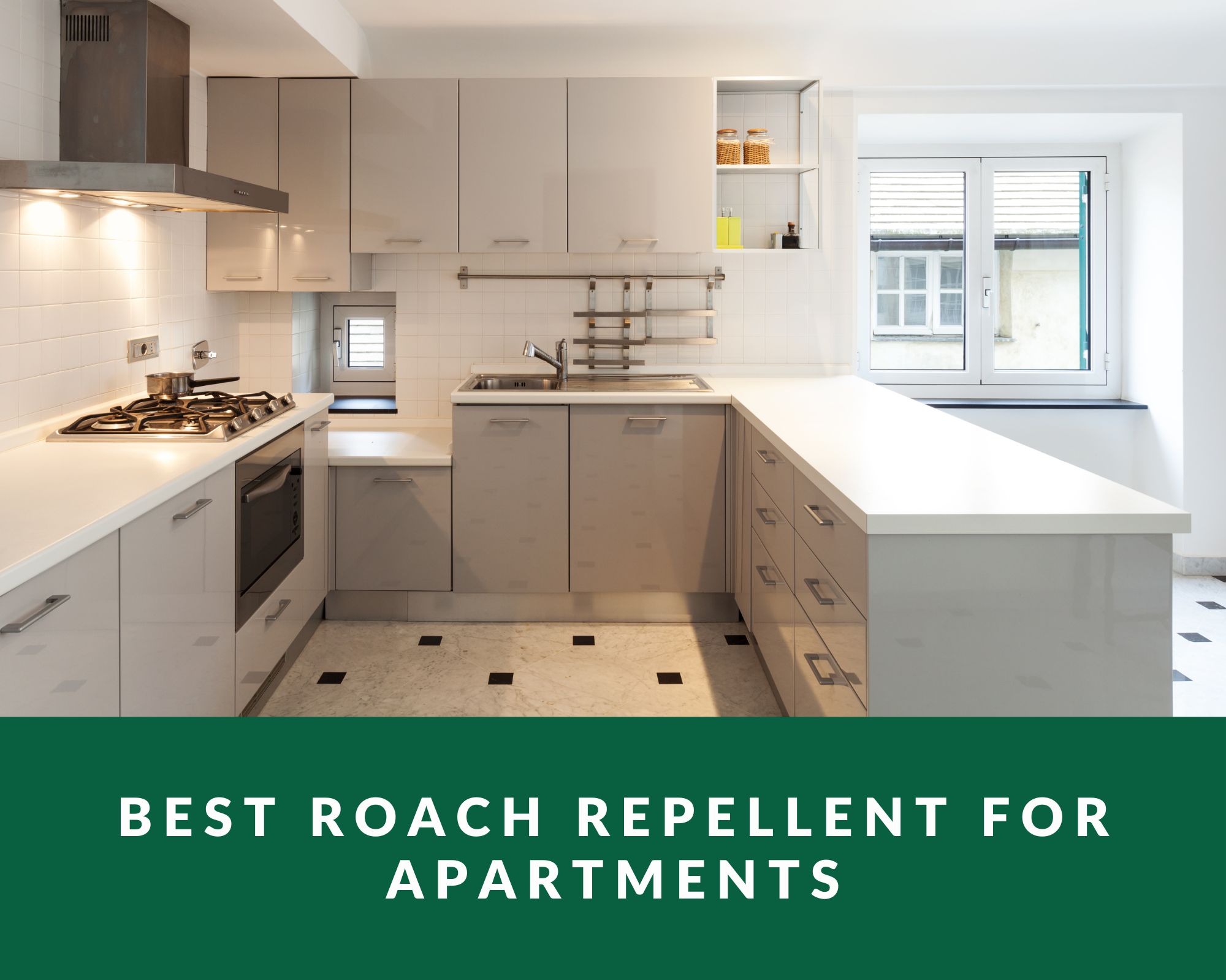 best roach repellent for apartments